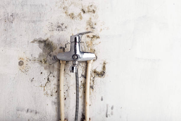Best Post-Flood Mold Remediation in Lacoste, TX