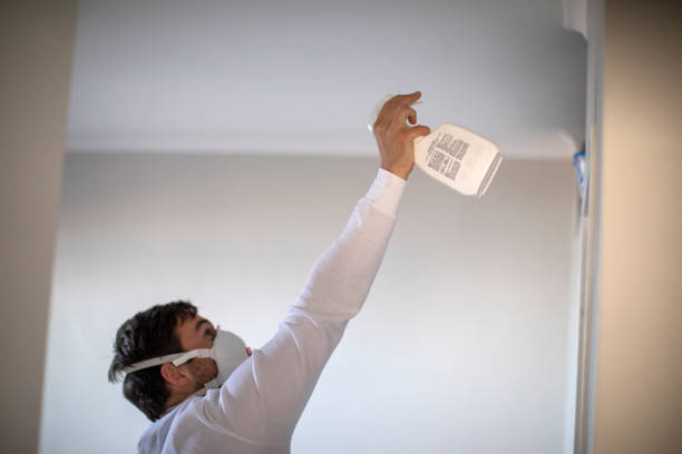 Reliable Lacoste, TX Mold Remediation Solutions