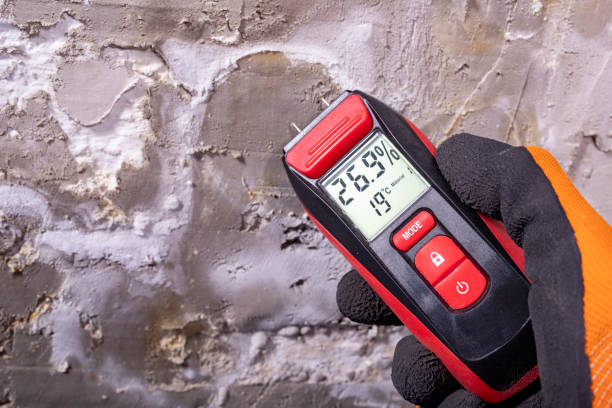 Best Health and Safety Mold Remediation in Lacoste, TX