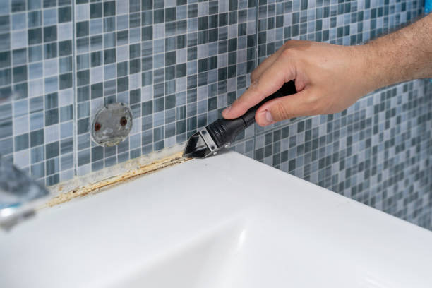Best Insurance-Related Mold Remediation in Lacoste, TX