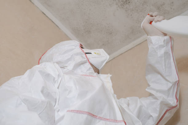 Best Industrial Mold Remediation in Lacoste, TX